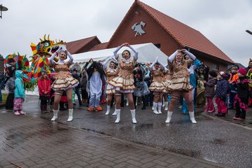 Bild 533 - Latuff 2017